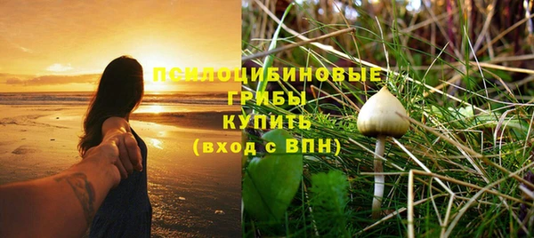 дживик Домодедово