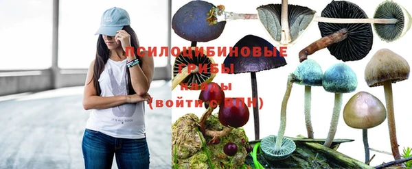 а пвп мука Аркадак