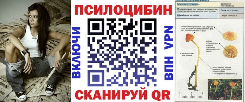 купить закладку  Жуковка  Псилоцибиновые грибы Cubensis 
