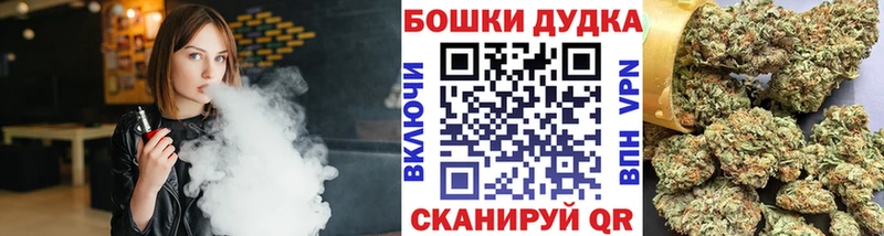 Канабис план  Жуковка 